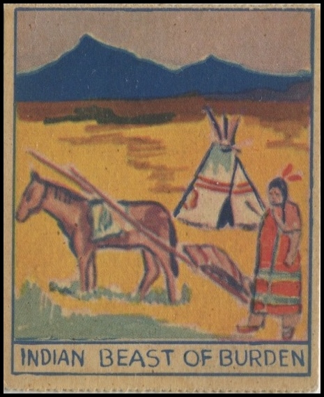 R129 Indian Beast of Burden.jpg